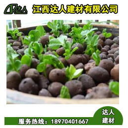 達人建材生產(chǎn)的陶粒可以種植所有花卉嗎？